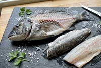 Picture of Whole Black Bream, Filleted (Bones included)