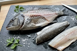 Picture of Whole Black Bream, Filleted (Bones included)