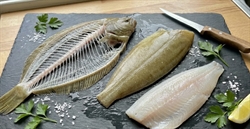 Picture of Lemon Sole, Filleted (Bones Included)