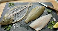 Picture of Whole Brill, Filleted (Bones Included)