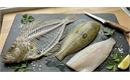 Picture of Whole John Dory, Filleted (Bones Included)