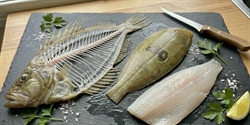 Picture of Whole John Dory, Filleted (Bones Included)