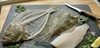Picture of Whole Turbot, Filleted (Bones Included)