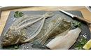 Picture of Whole Turbot, Filleted (Bones Included)