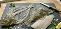 Picture of Whole Turbot, Filleted (Bones Included)