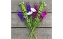 Picture of Mixed Flowers (Bunch)
