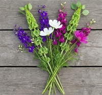 Picture of Mixed Flowers