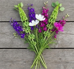 Picture of Mixed Flowers