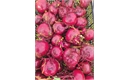 Picture of Beetroot, Loose