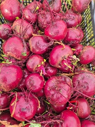 Picture of Beetroot, Loose