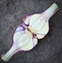Rhapsody White Garlic Bulb