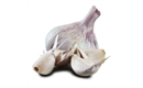 Picture of Maddock White Garlic Bulb
