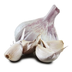 Picture of Maddock White Garlic Bulb