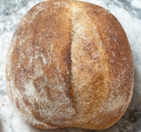 Picture of Sourdough Walnut Bread