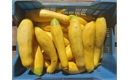 Picture of Zephyr Squash