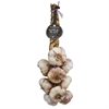 Picture of Rhapsody Wight Garlic Plait