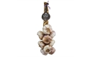 Picture of Rhapsody Wight Garlic Plait