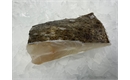 Picture of Turbot Tranche