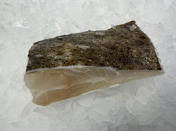 Picture of Turbot Tranche