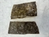 Turbot Tranche