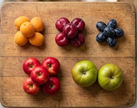 Picture of Perennial Kent Fruit Selection