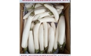 Picture of White Aubergines