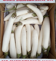 Picture of White Aubergines