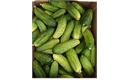 Picture of Fresh Gherkins