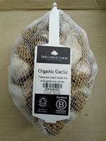 Picture of White Garlic