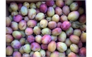 Picture of Mallard Plums