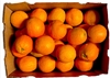 Picture of Whole Orange