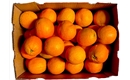 Picture of Whole Orange