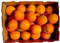 Picture of Whole Orange