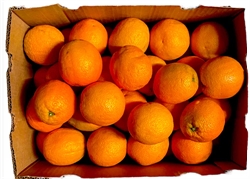 Picture of Whole Orange