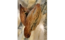 Picture of Spinach, Ricotta & Anchovy Pastizzi