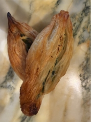 Picture of Spinach, Ricotta & Anchovy Pastizzi