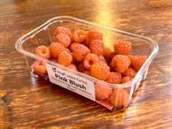 Picture of Kentish Pink Blush Raspberries