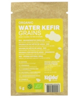 Picture of Water Kefir Grains
