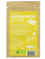Picture of Water Kefir Grains