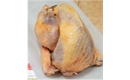 Picture of Whole Guinea Fowl
