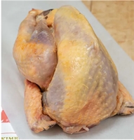Picture of Whole Guinea Fowl