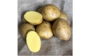 Picture of Super Nova Salad Potatoes