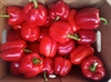Picture of Red Peppers Crate