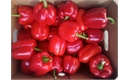 Picture of Red Peppers Crate