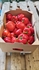 Red Peppers Crate