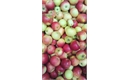 Picture of Rubinola Apples