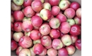 Picture of Windsor Apples