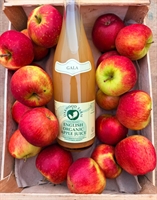 Picture of Organic Gala Apple Juice (1ltr)