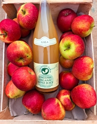 Picture of Organic Gala Apple Juice (1ltr)