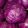 Picture of Big Red Cabbage